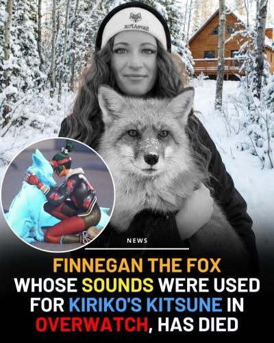 625009039_1469045051445341_4049048897722773636_n