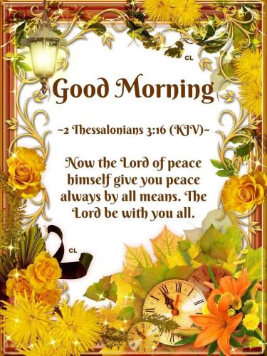 637303624_911633964569980_2679215539224949660_n