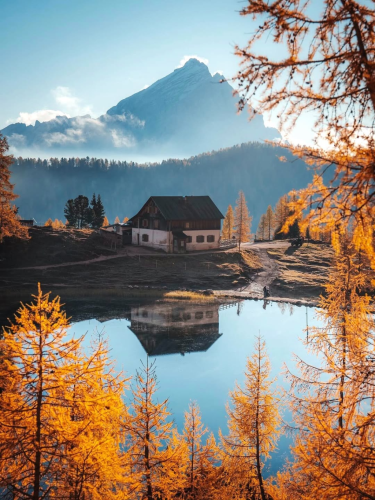 RDT_20260219_144733568000716006518355