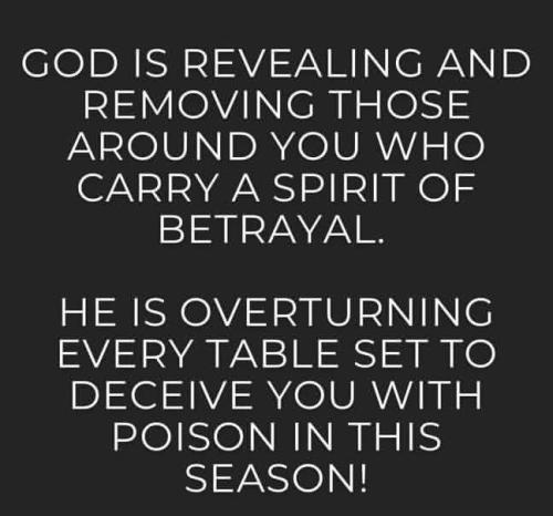 IMG_20260209_195803_459