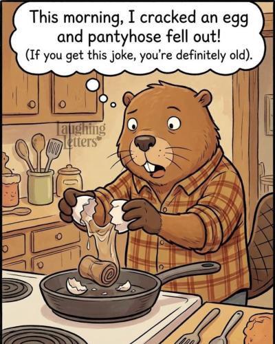 FB_IMG_1771770868574