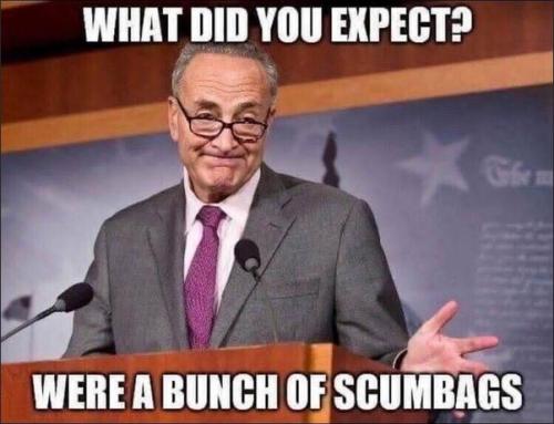 schumer79
