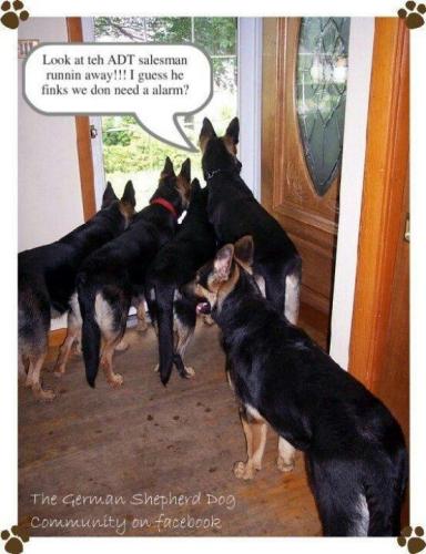 186b80a9373d6ad2cbeedb8858dcb175