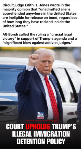 illegals inelgible for release bonds