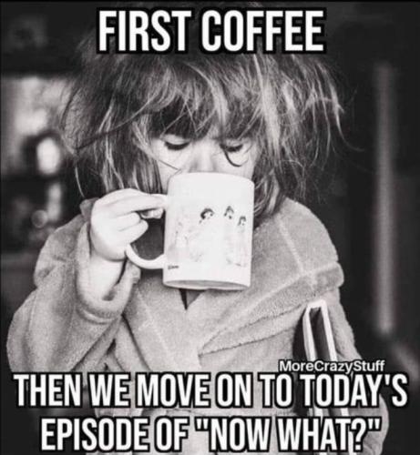 Screenshot_20260209_071950_Gallery