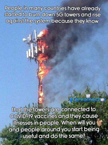 FB_IMG_1771437665476