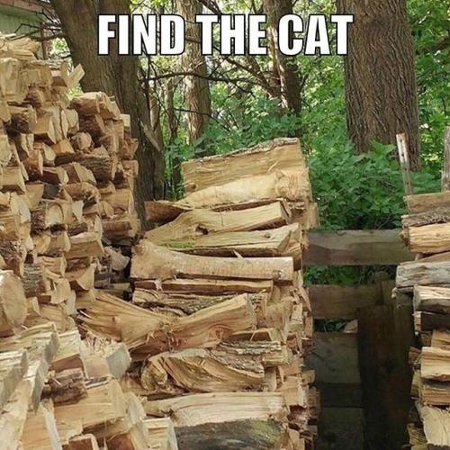 8875adbda469094e1d99e0f5a80d4b14