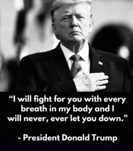 17703752630475539310028399087460_194101575873037