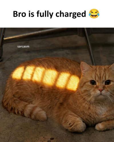 IMG_20260223_112402_664