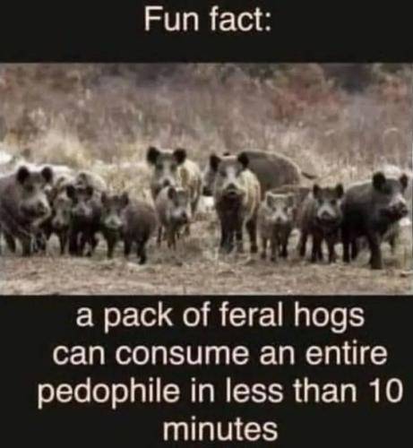 17718433437267857886752922170277_1072375813942219