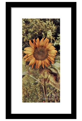 Screenshot_20260211_084927_Brave