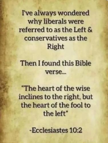 17706352880072518400957816383669_330197029784141