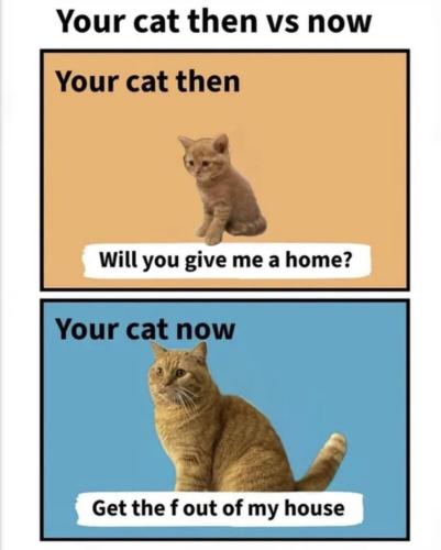 19:59:47 GMT-0600 (CST)