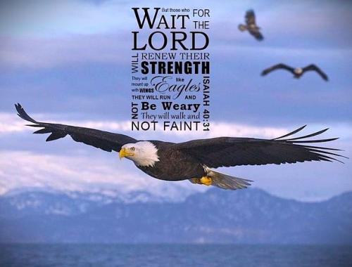 022726 - Renew strength like an eagle, Isa 40-31