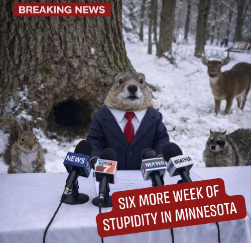 Screenshot_20260202-131434-047