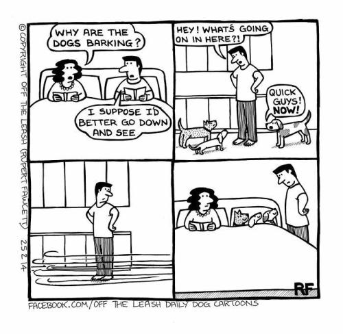 7b3ef3c7119b859041da8e9093995ed5