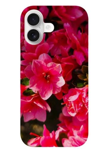 Screenshot_20260212_134506_Brave