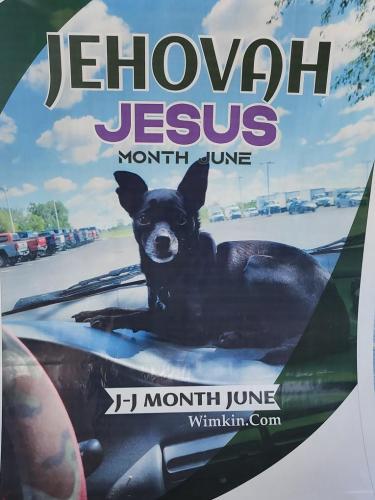 7cea732c-9eb3-475e-9cd6-7ab069a6105b