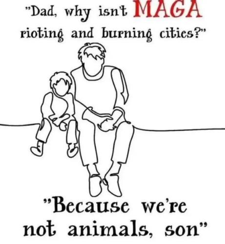 17586788227205819110641507196018_264753056373585