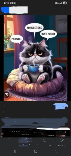 Screenshot_20260211_061256_Google