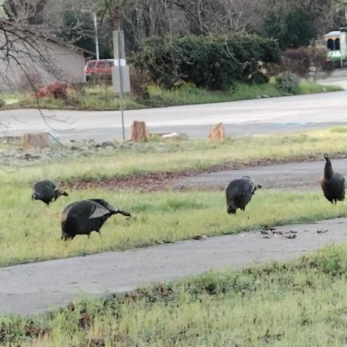 506a5a9f-9ab1-4ecd-be79-79e9b9f717ac