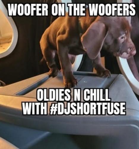 Screenshot_20260219_064715_Gallery