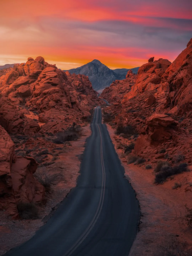 RDT_20260209_1642178268097217593020922