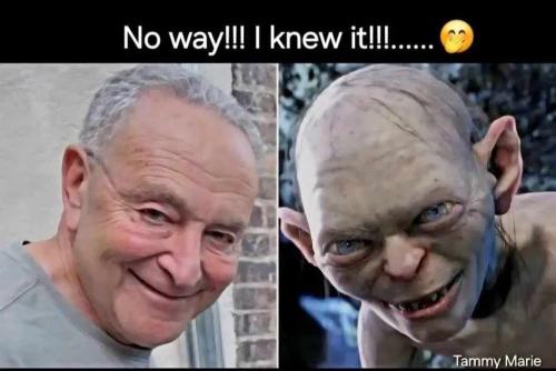 Resized_img_rsz__1100x1100_(27)(1)