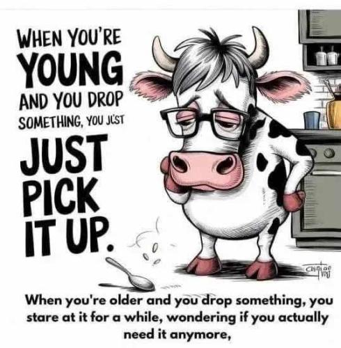 Resized_img_rsz__1100x1100_(18)