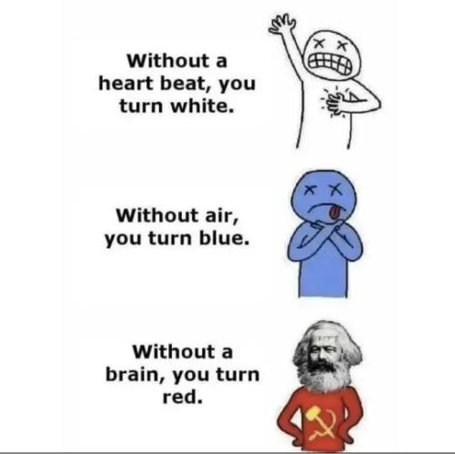 17720169832371409049672286359402_1184434105527493