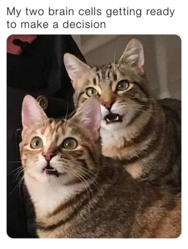 17706346243783218563147957823956_329537967010226