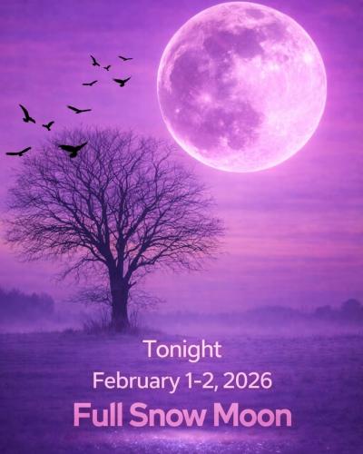 FB_IMG_1769986227985