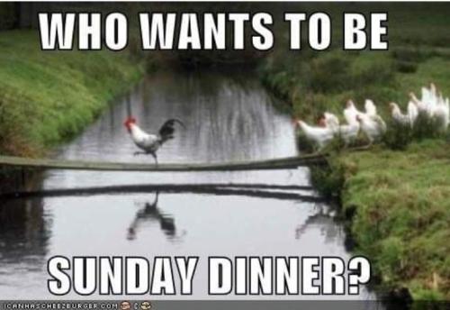 Screenshot_20260215_081542_Gallery