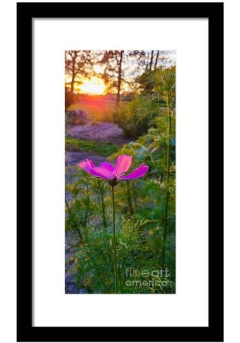 Screenshot_20260209_183148_Brave