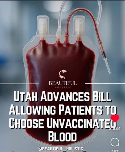 IMG_20260208_144655_086