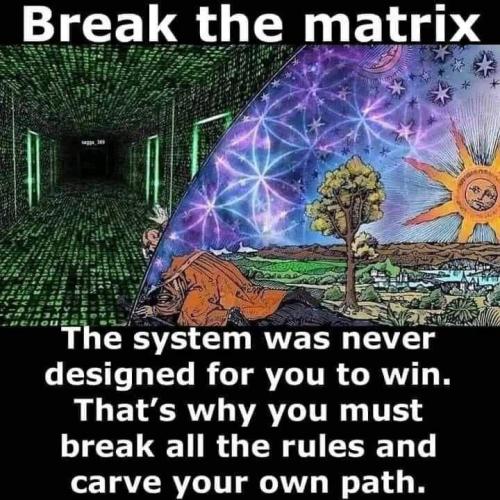 IMG_20260224_171733_486