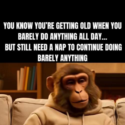 Screenshot_20260216_221253_Facebook(1)