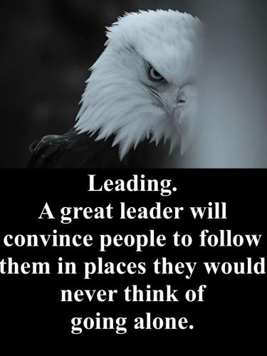 1-Leadership - People Never Think of Going Alone