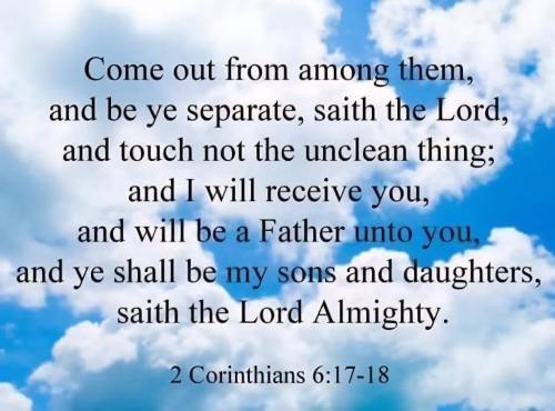 86518661-3cdd-44fc-93de-205af69ae6f3