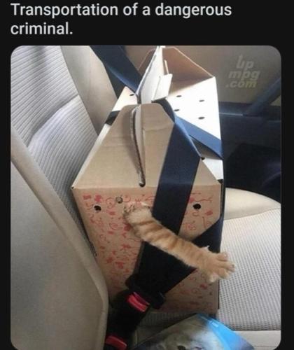 main-qimg-b35354968bdf2435dc00c29151a15ae4