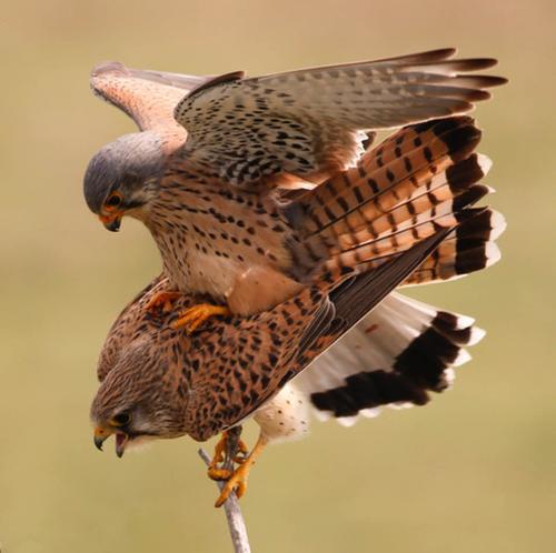 618712116_1604395094250941_4029044019849886408_n