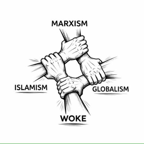 IMG_20260228_075656_877