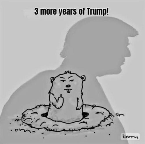 77955a63-5ac7-4f3d-8690-12b69b3dc501