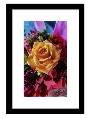 Screenshot_20260217_161357_Brave