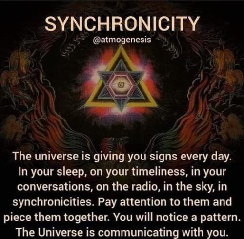 ,     ,       273410949_71196934381