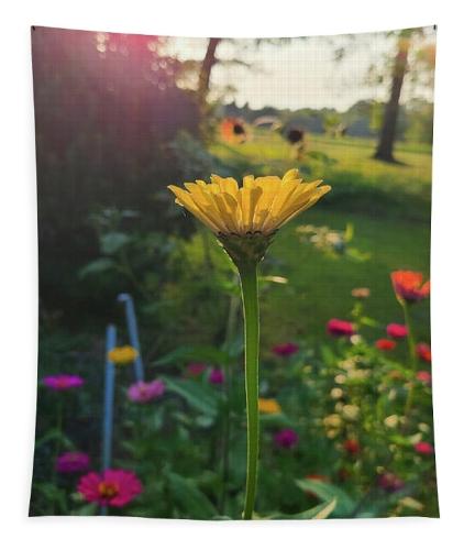 Screenshot_20260204_110624_Brave