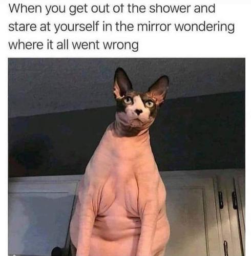 Screenshot_20260213_071959_Gallery