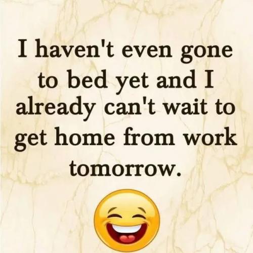 17703754403513877899125981915933_194279040314011