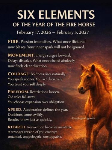 IMG_20260217_184130_423