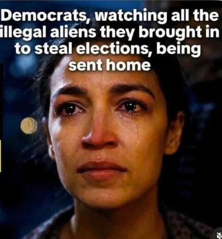 democrats-watching-illegals-sent-home